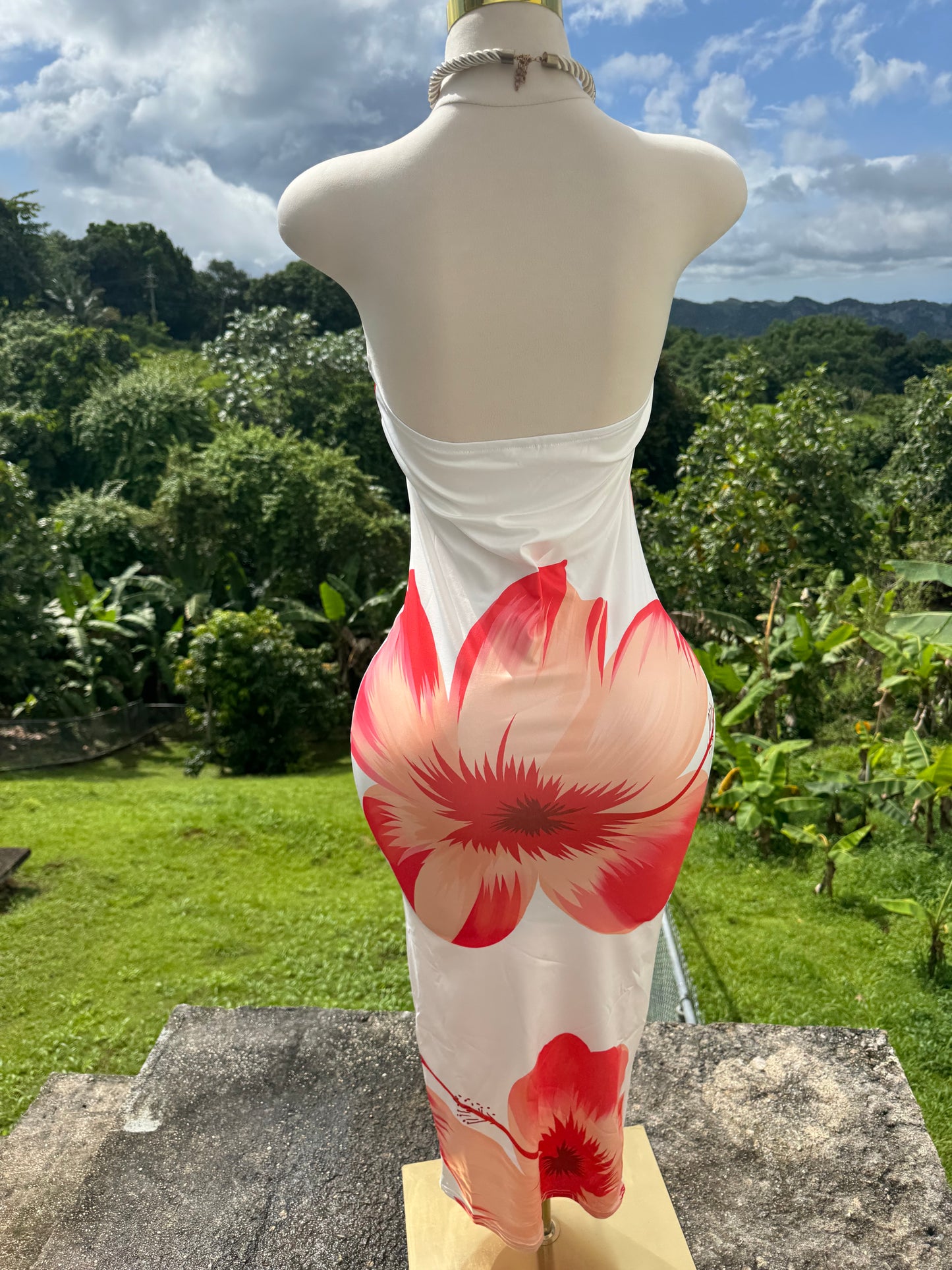 (๐บ) Flor de Maga Dress In White