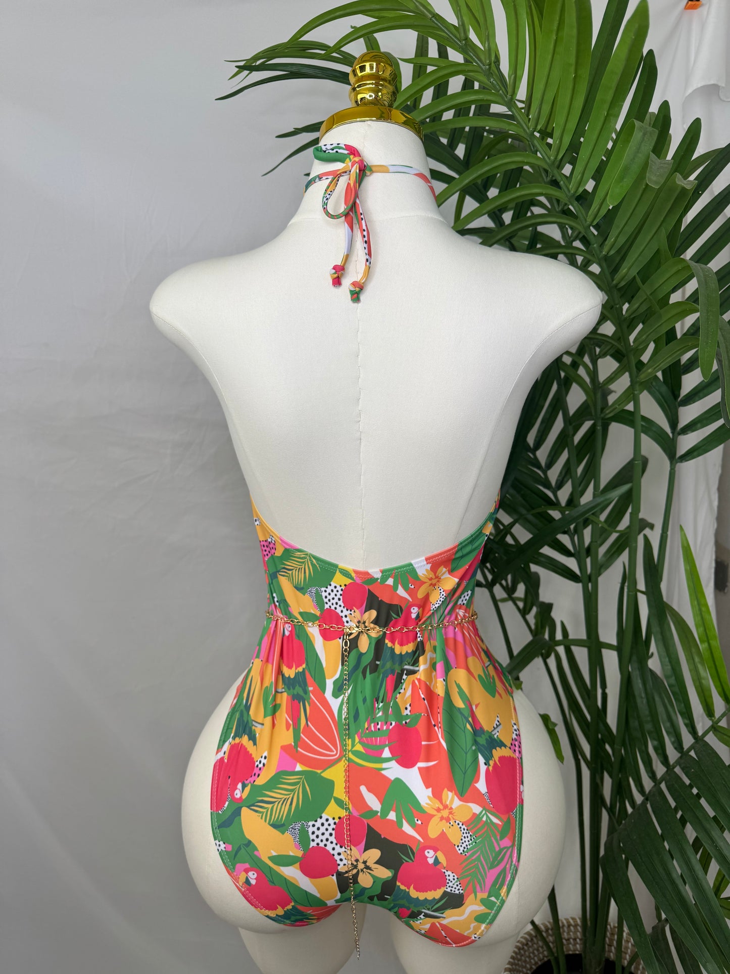Tropical Parrots Swimwear