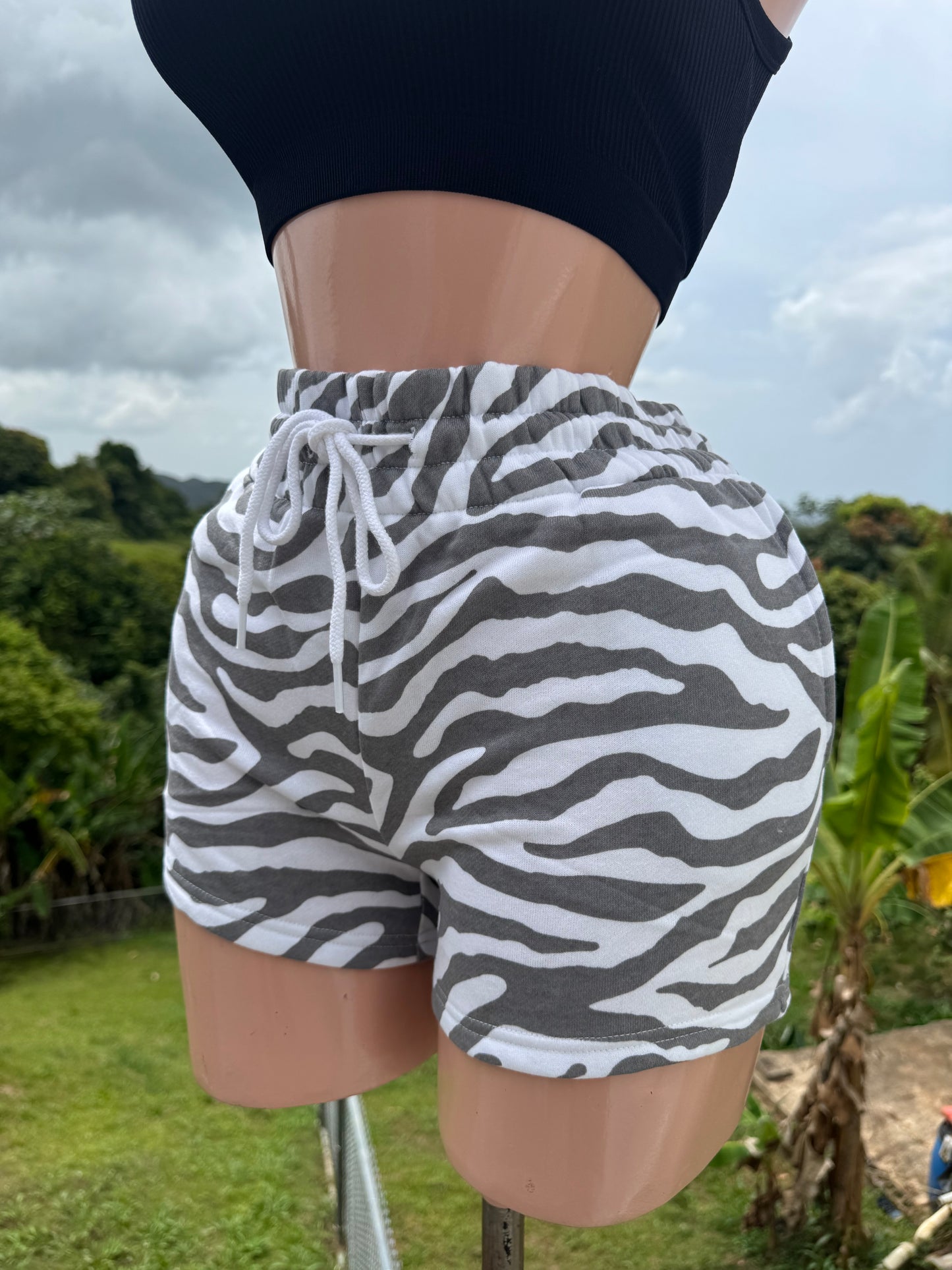 Short Zebra