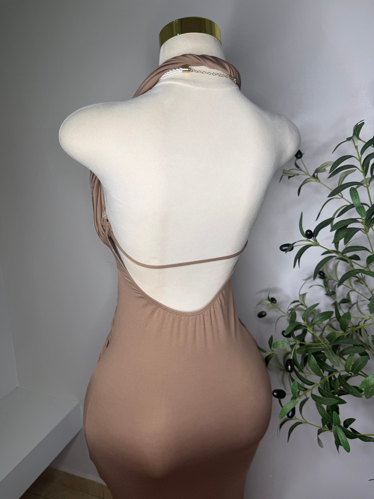 Curvas Maxi Dress in Taupe