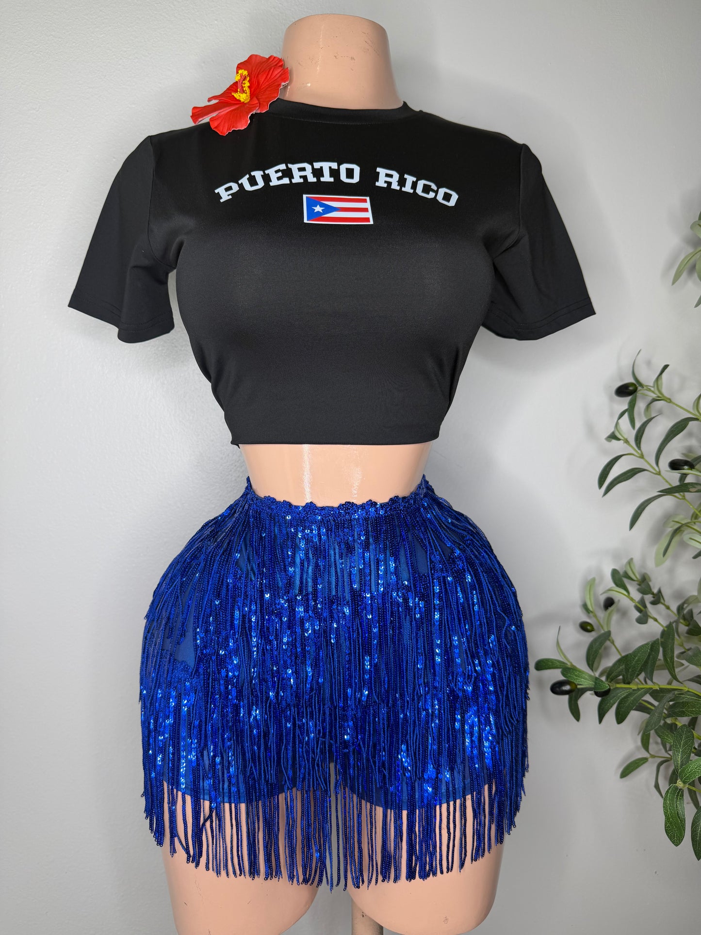 Puerto Rico π΅π· Top