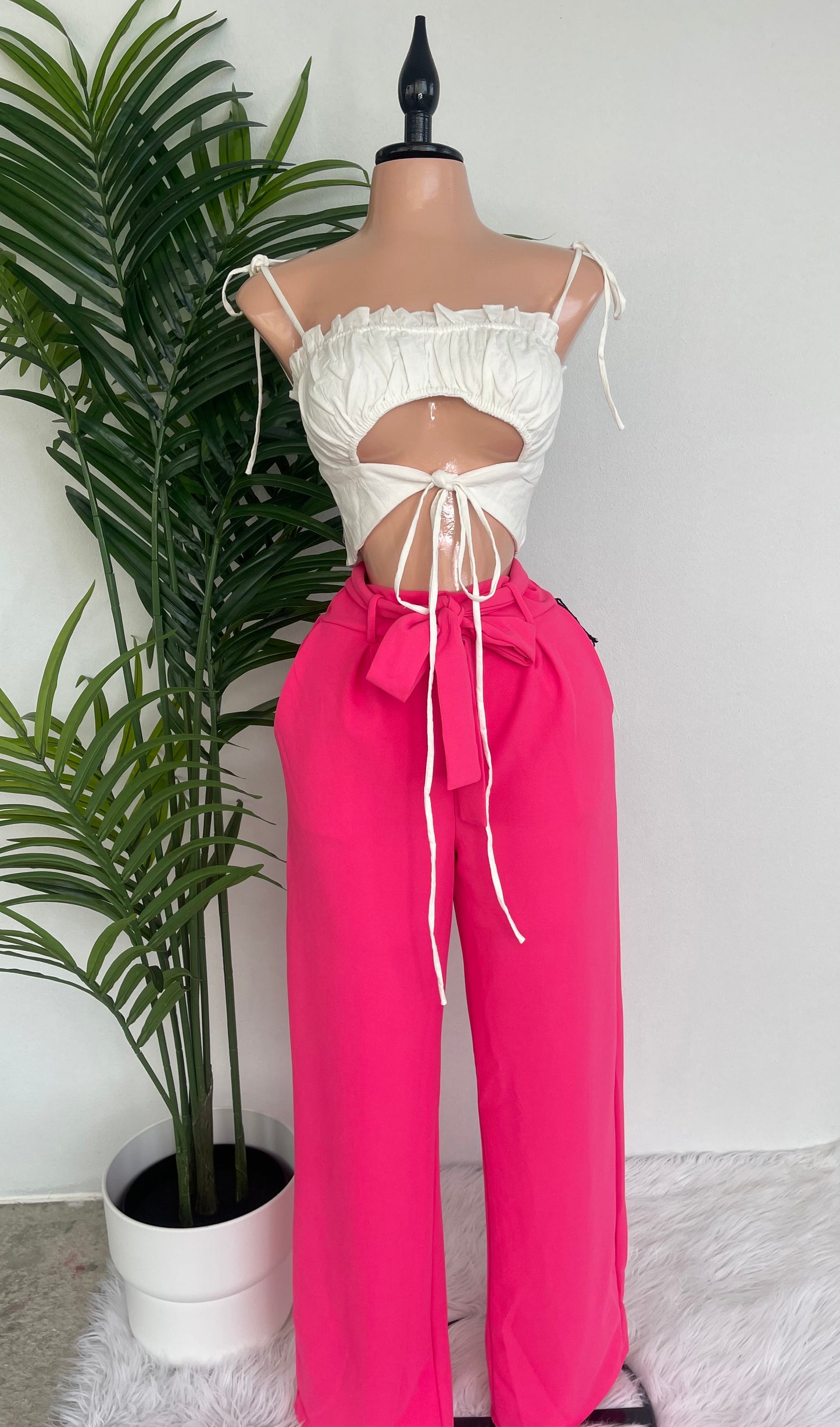 Delicately but Sexy Top