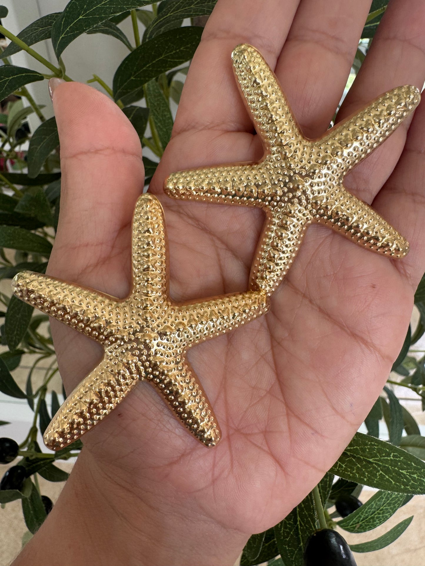 Pantallas Estrellas de Mar
