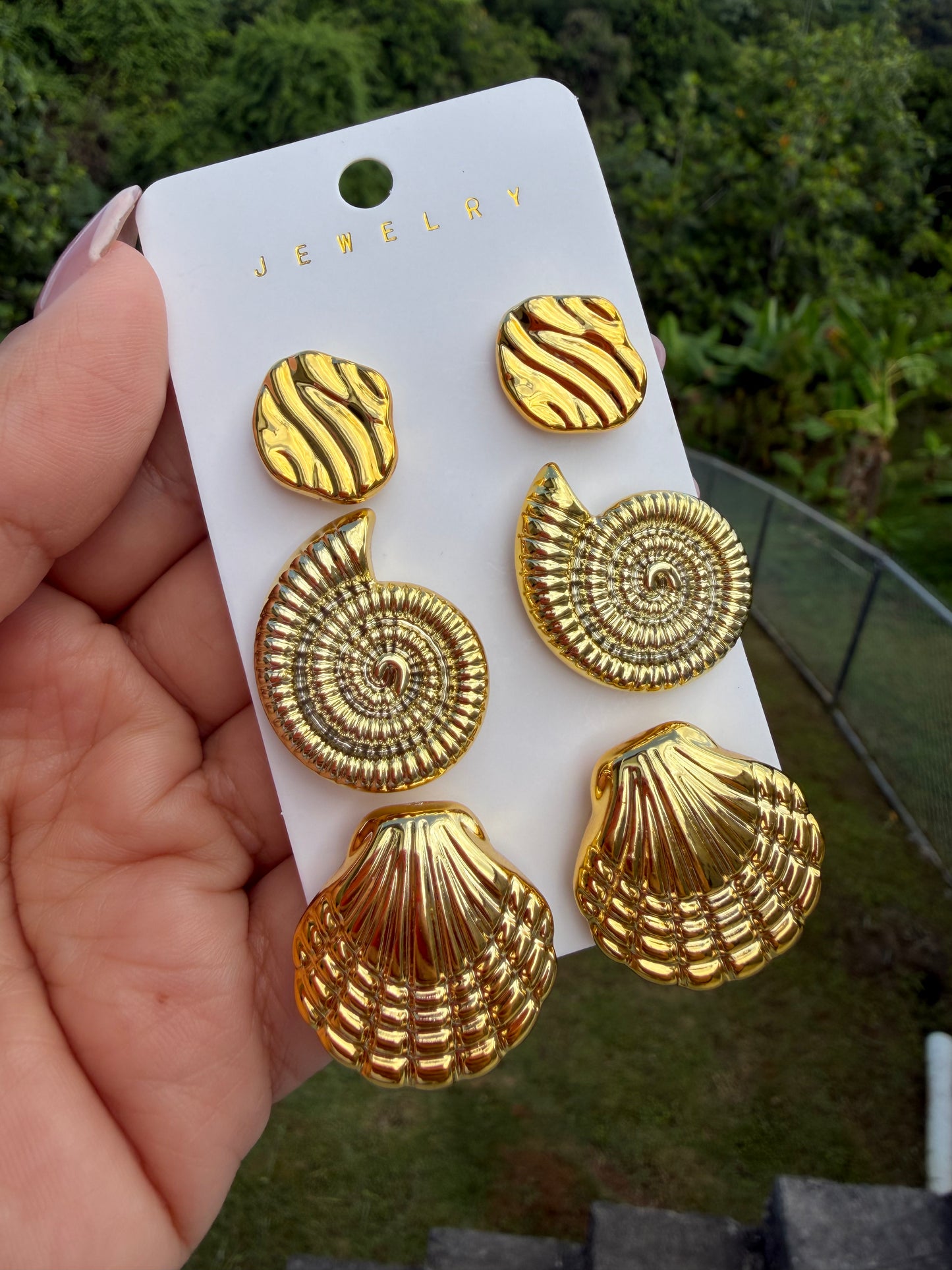 Set de Pantallas para el Agua - Seashells