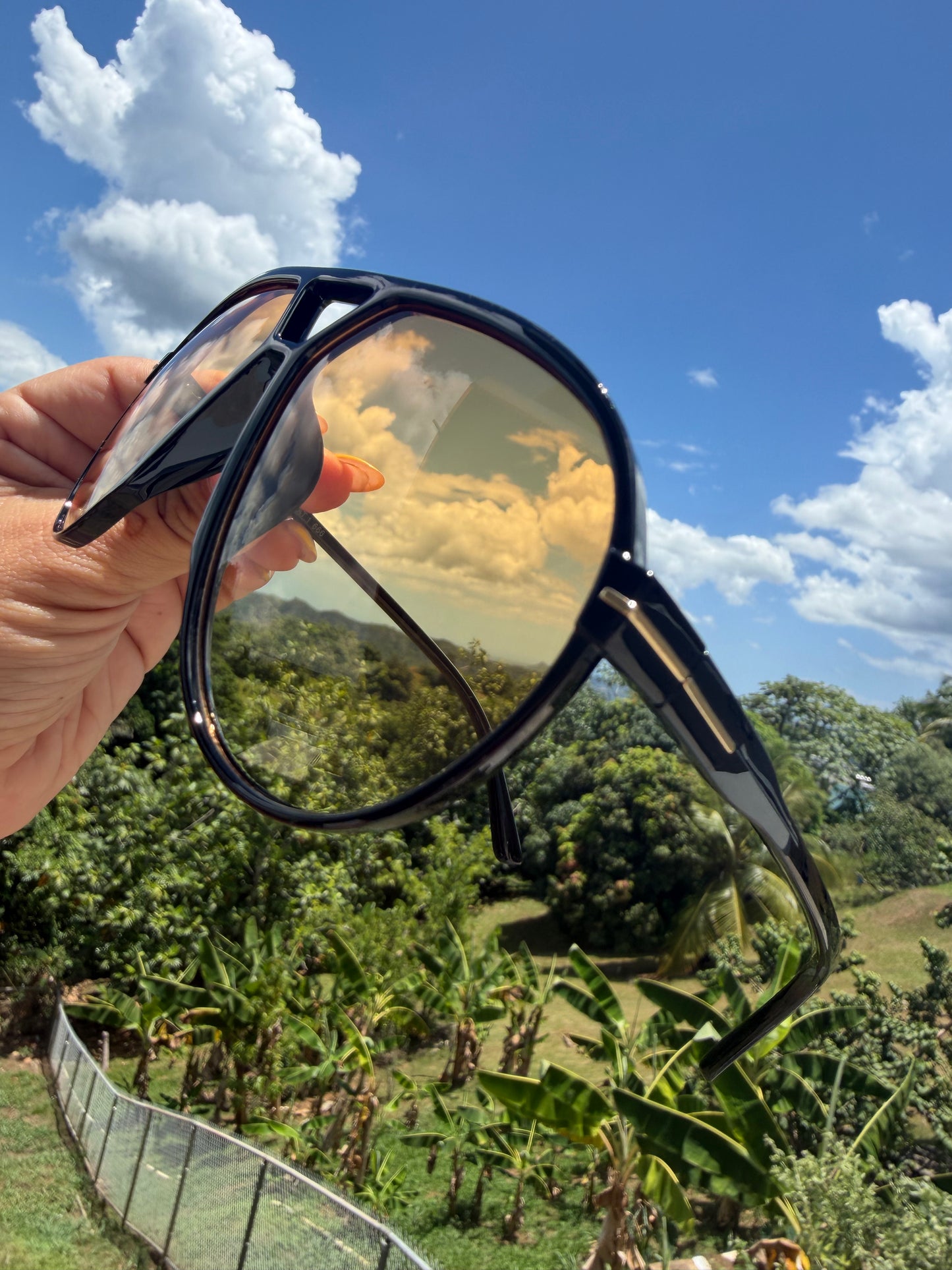 Amber Sunnies