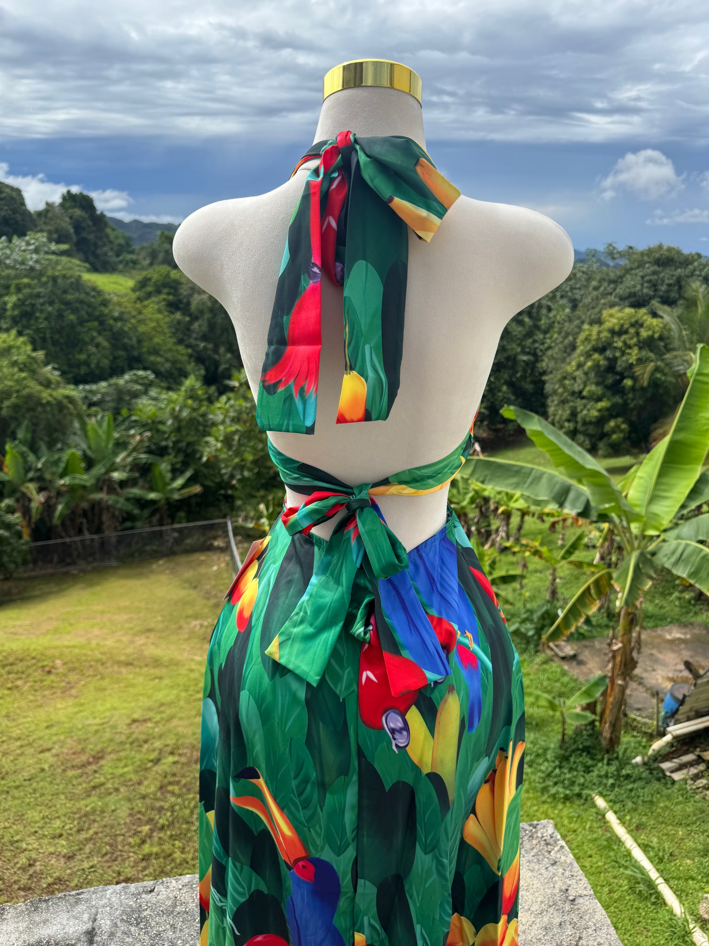 Tropical Maxi Dress