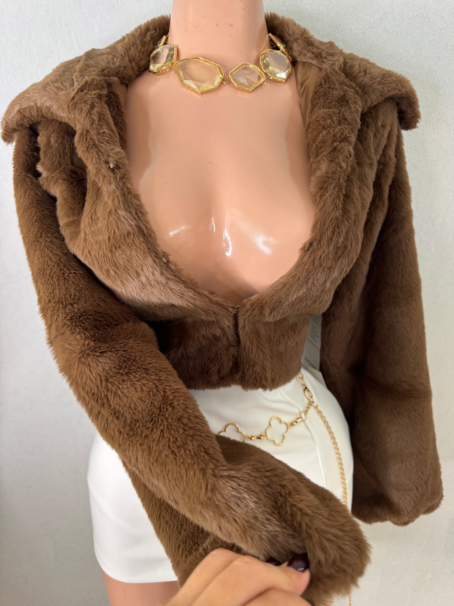 Faux Fur Jacket in Brown
