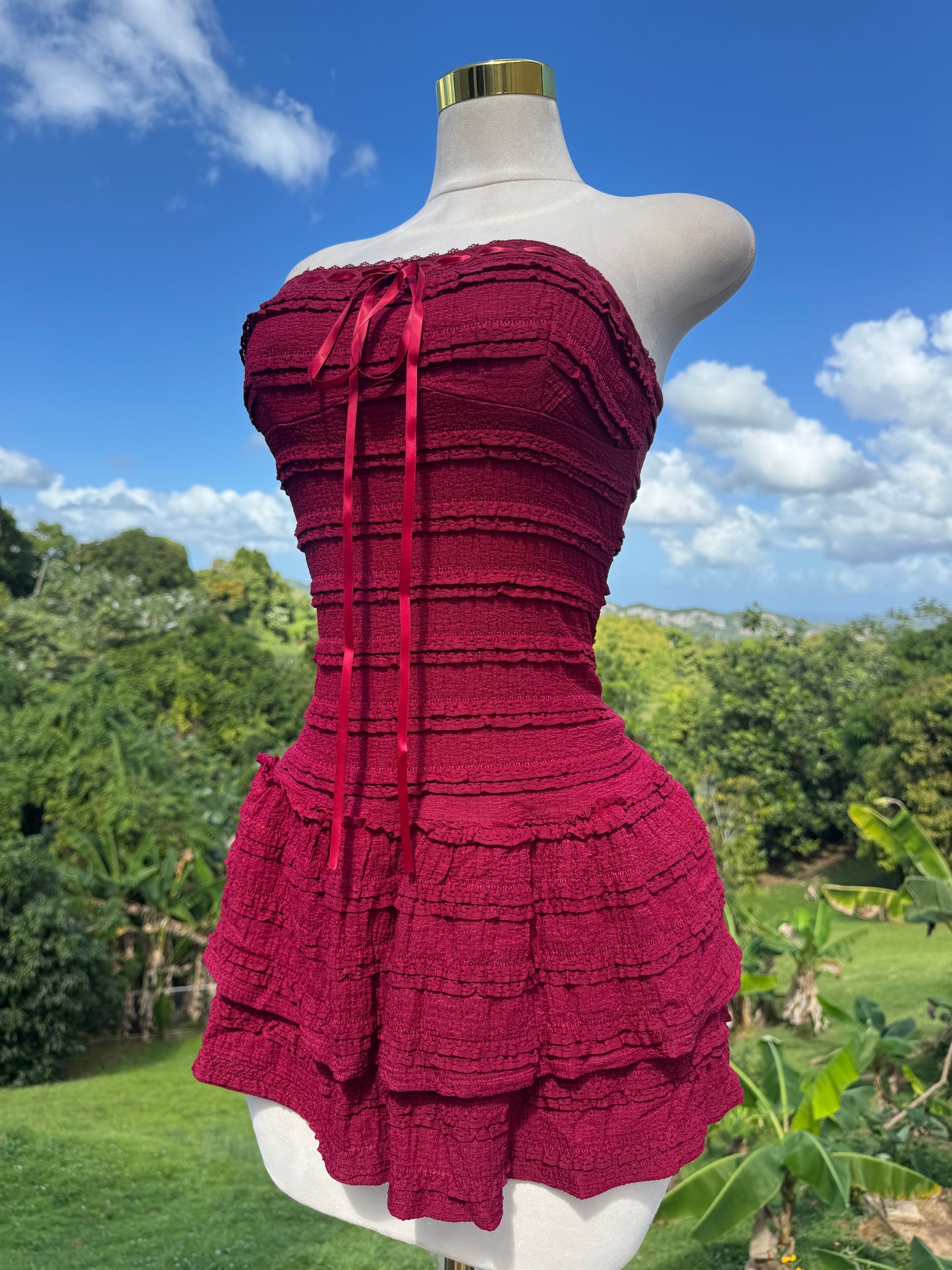 Lace Dress in Wine