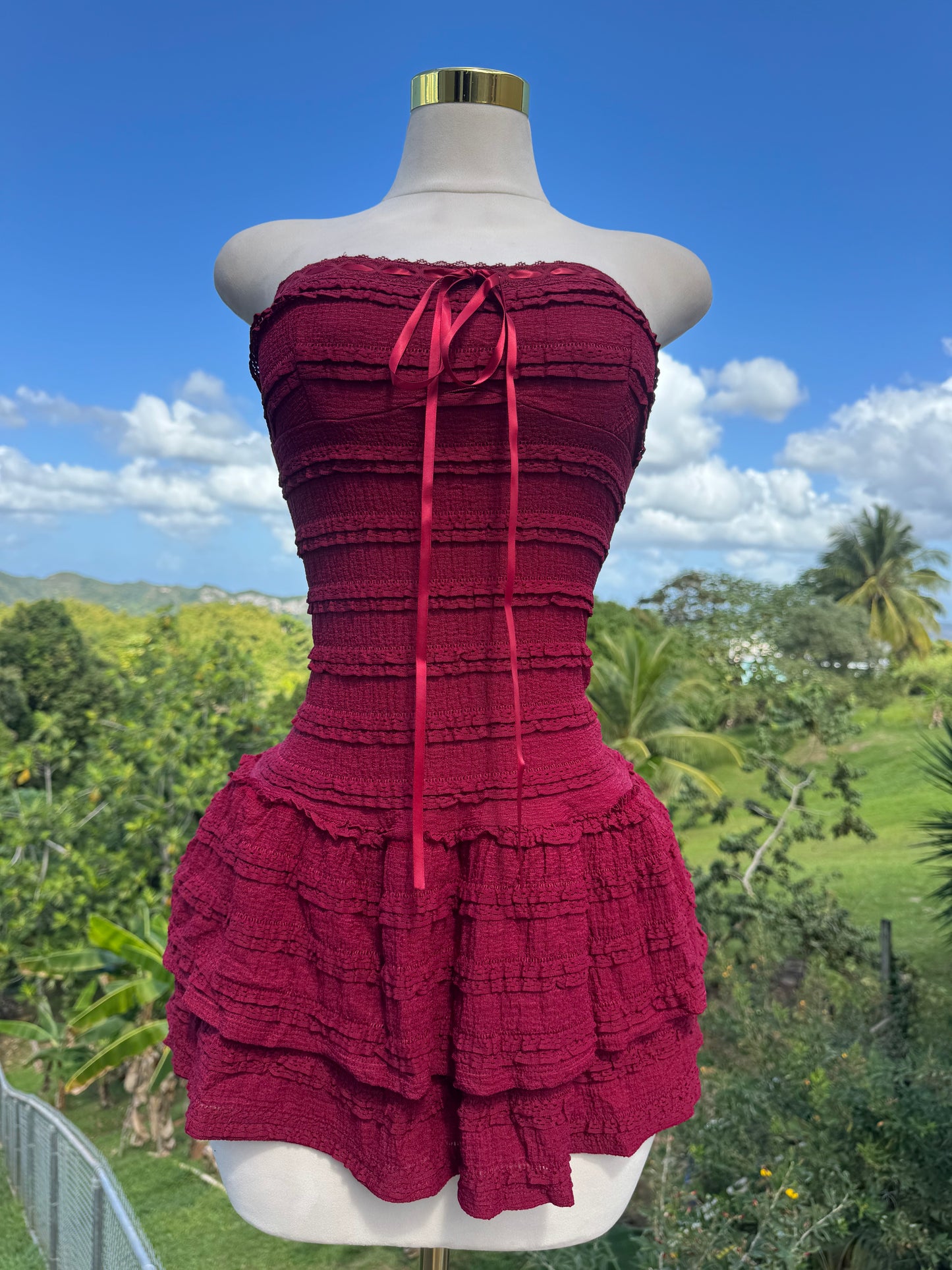 Lace Dress in Wine