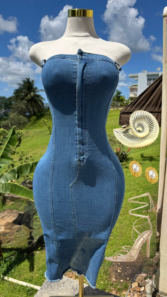 Curvas Stretch Denim Dress