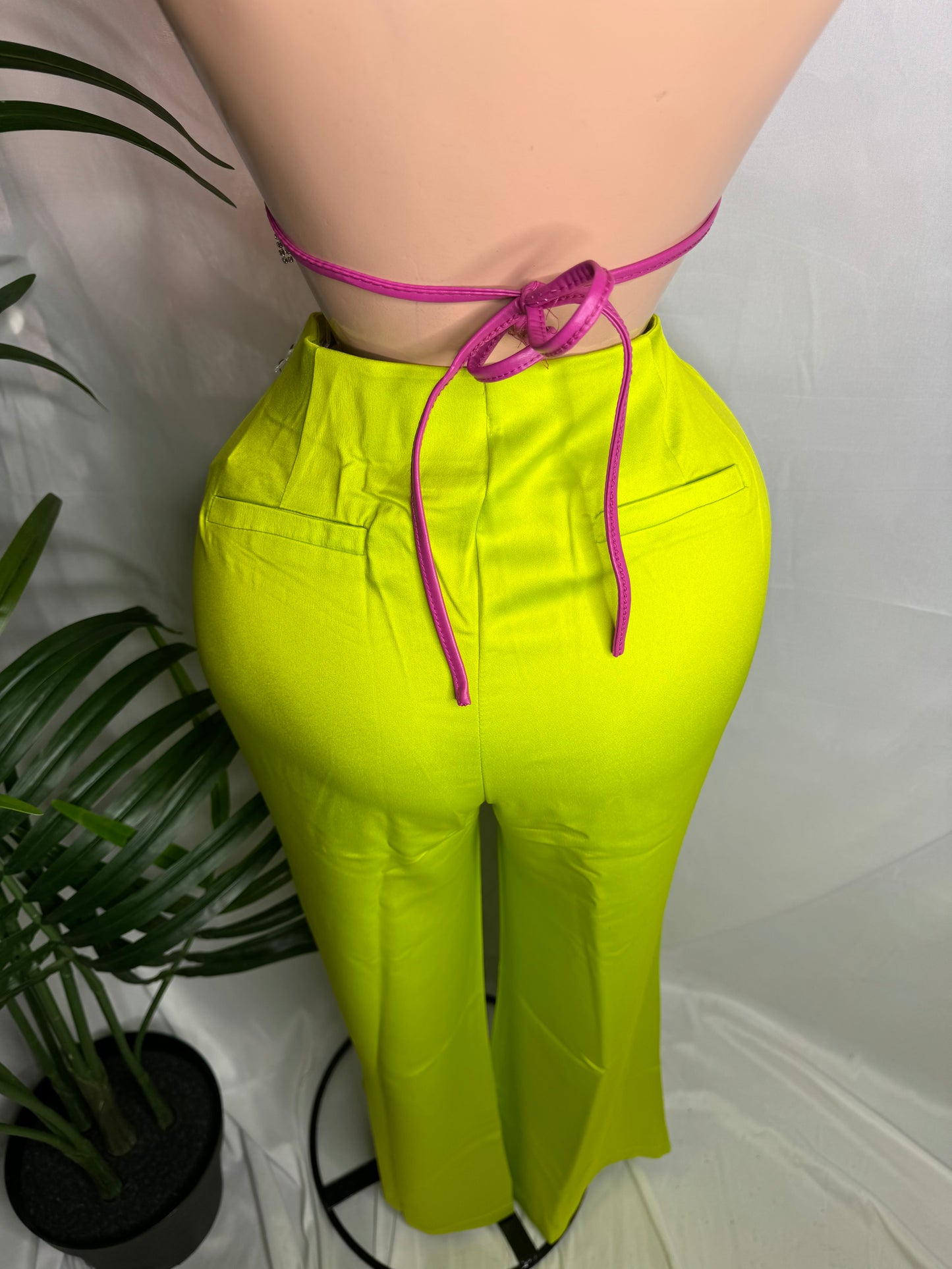 Straight Pants in Lime