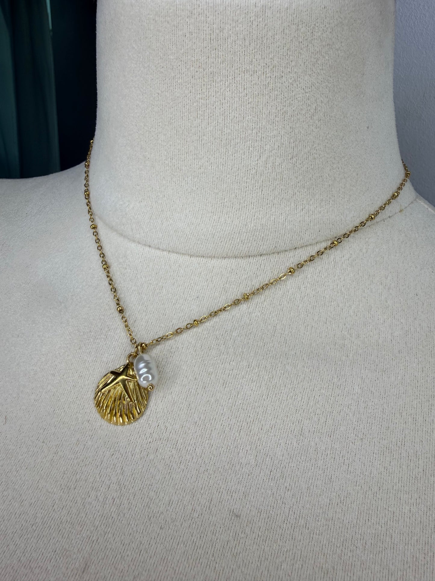 Caracolito - Stainless Steel Necklace