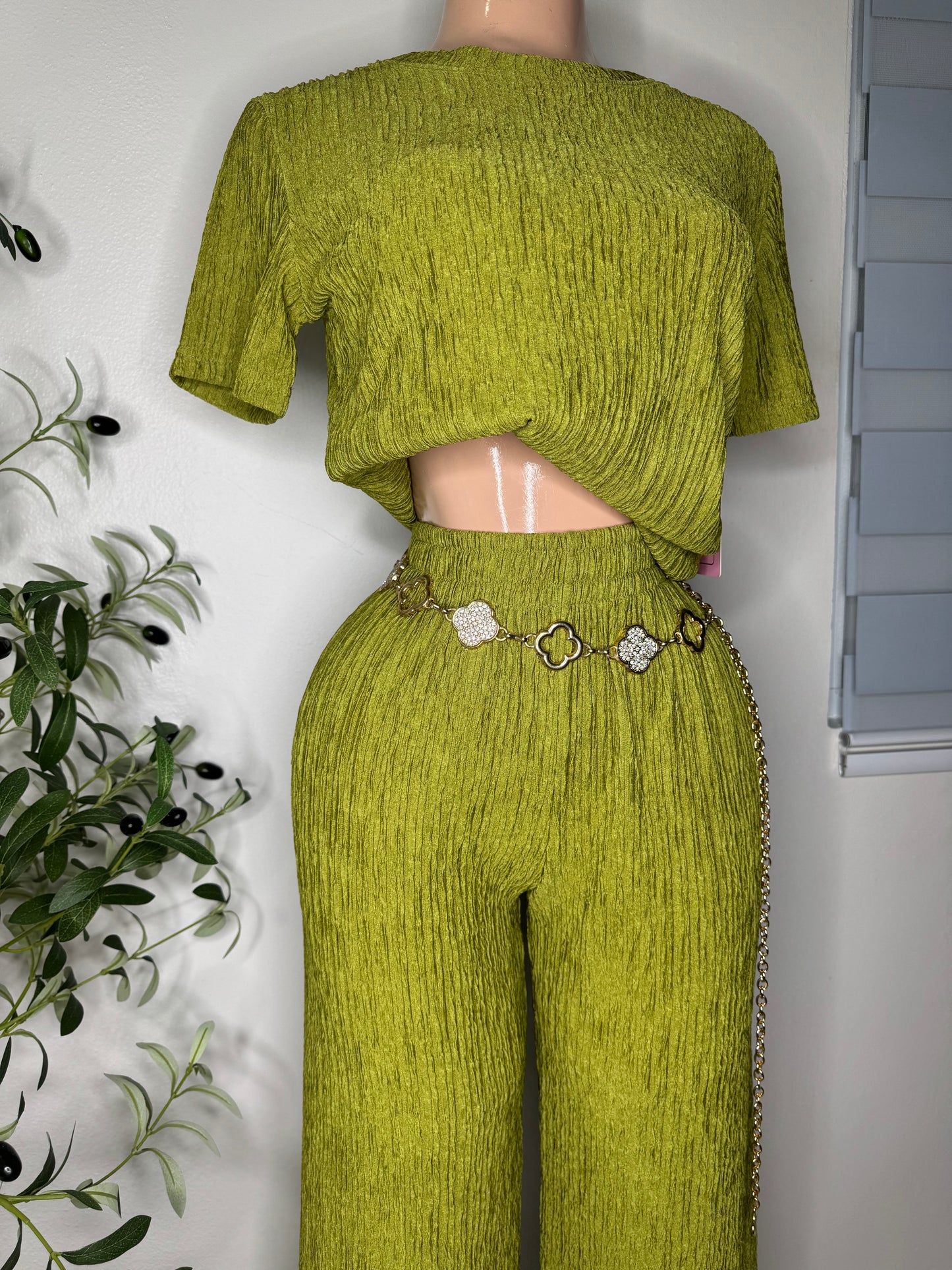 Chic Set In Green