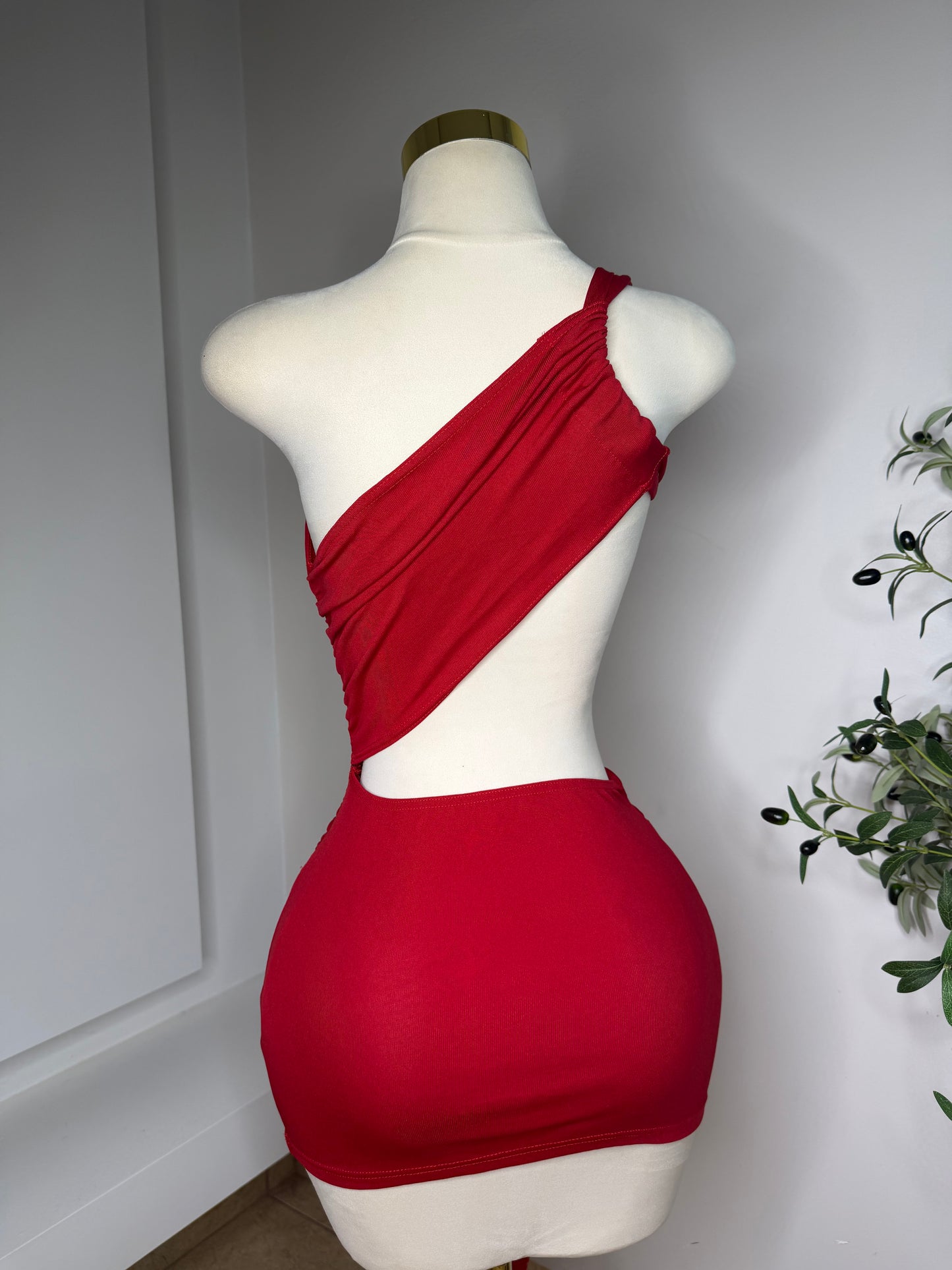 Red Side Dress