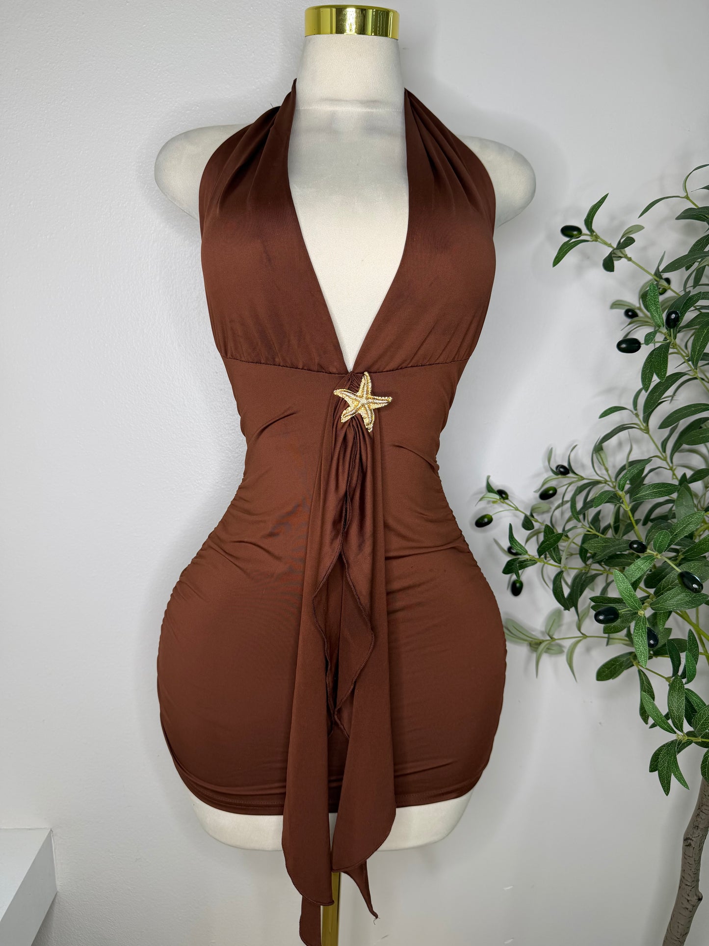 Earth Dress Stretch in Brown