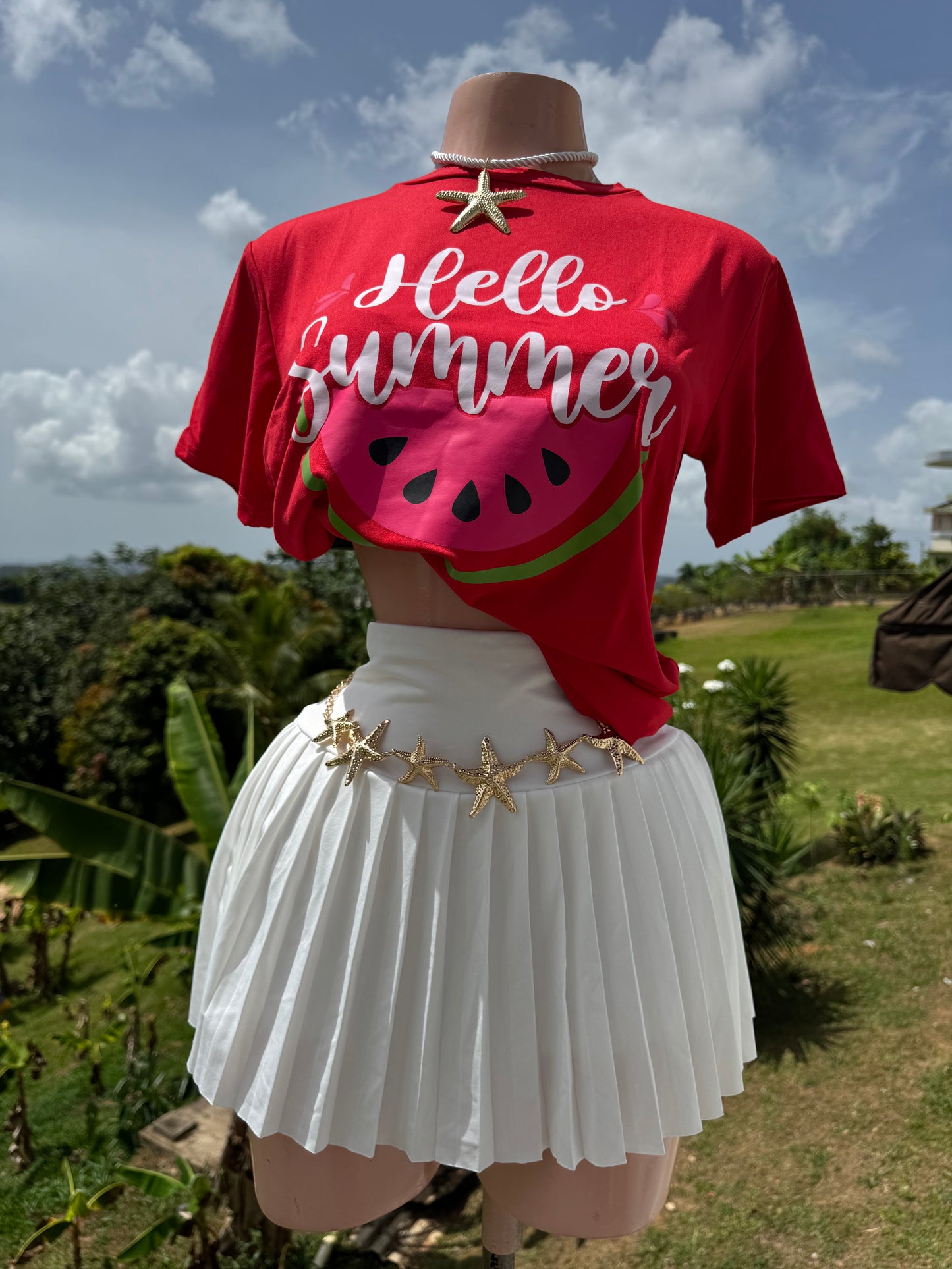 Hello Summer Watermelon 🍉 T Shirt