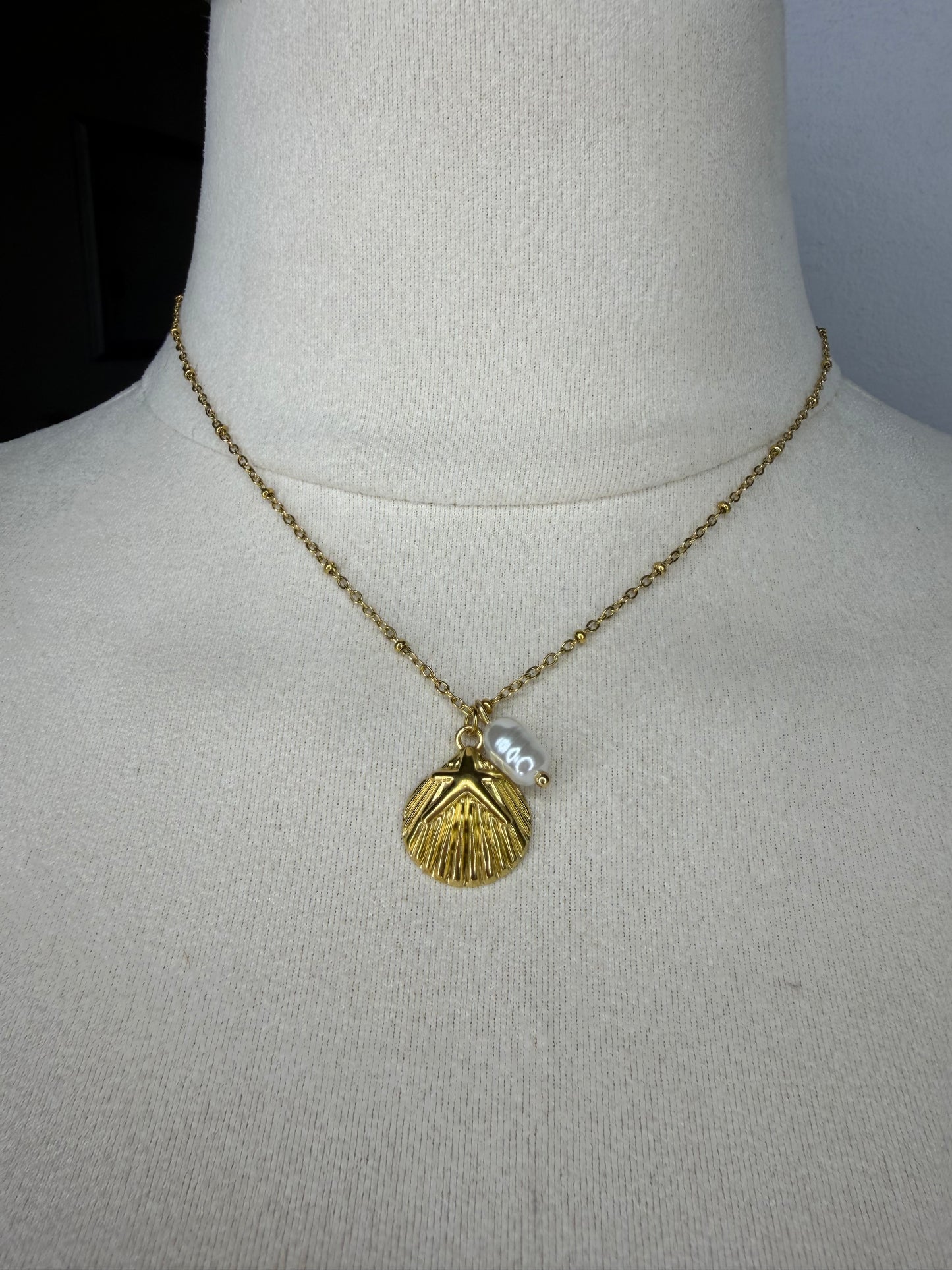 Caracolito - Stainless Steel Necklace