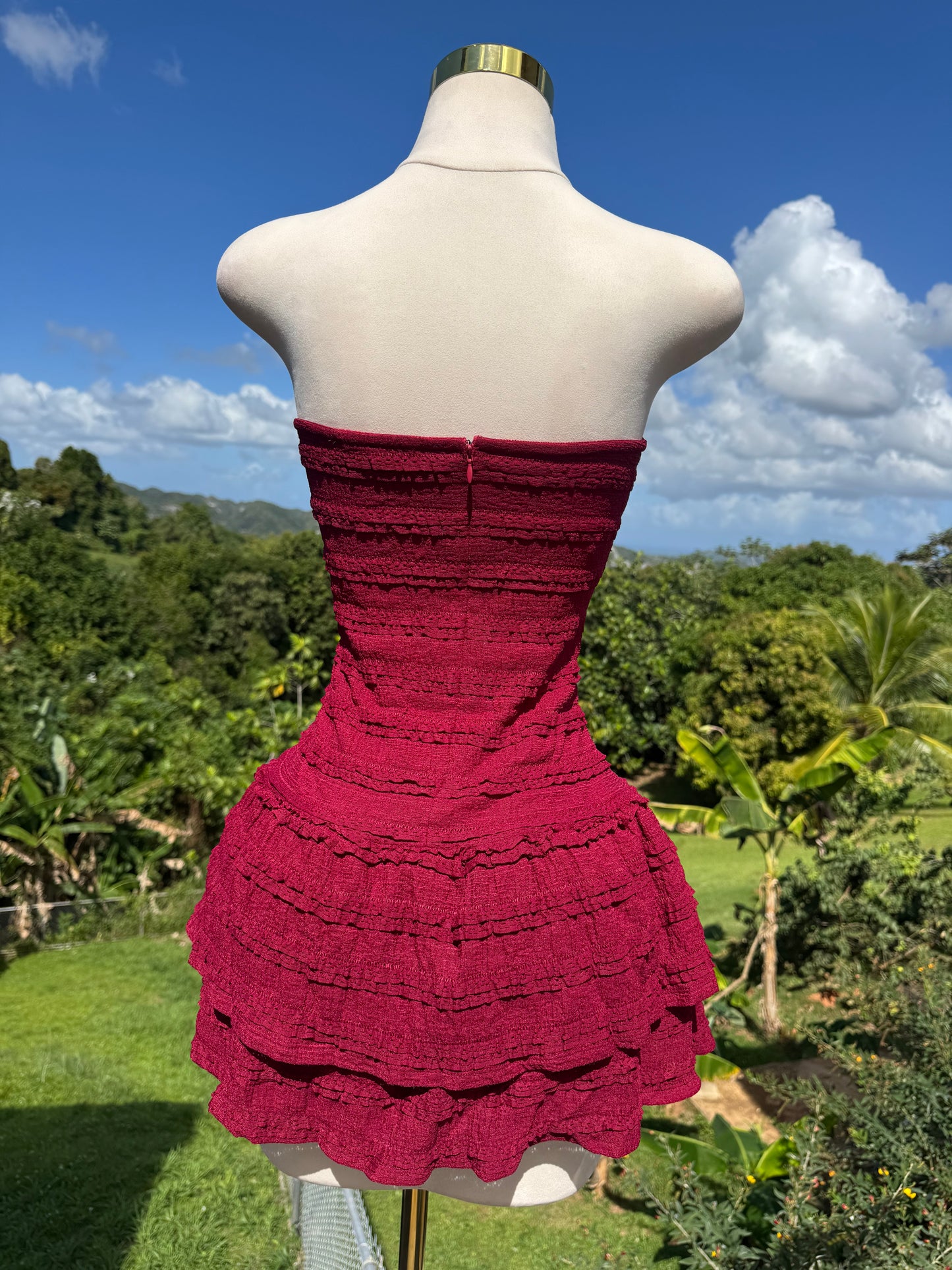 Lace Dress in Wine