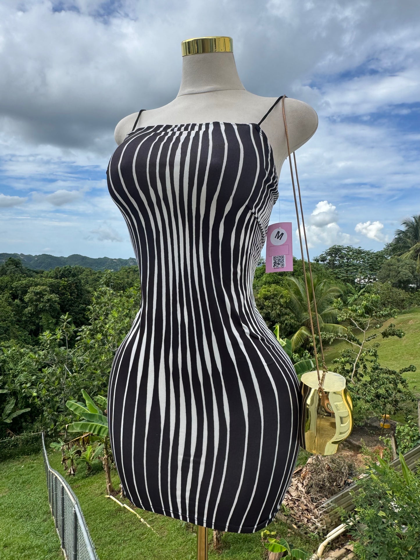 My Body Curves Dress