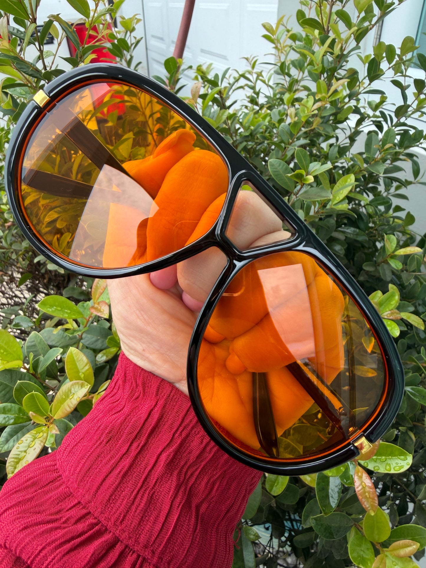 Ámbar Sunglasses