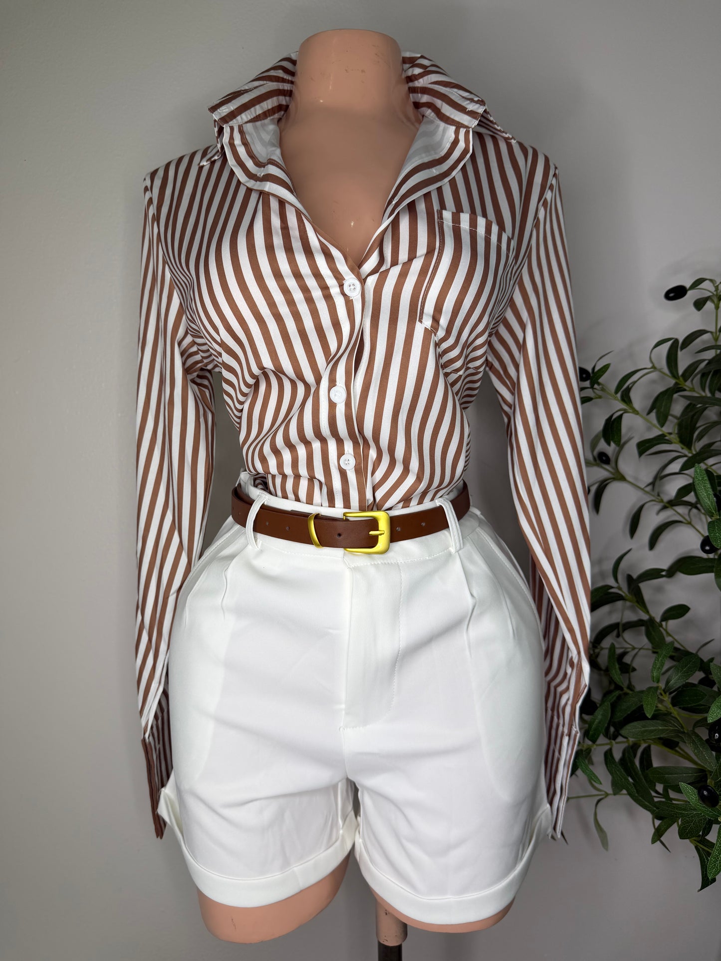 Button Down Stripes Shirt