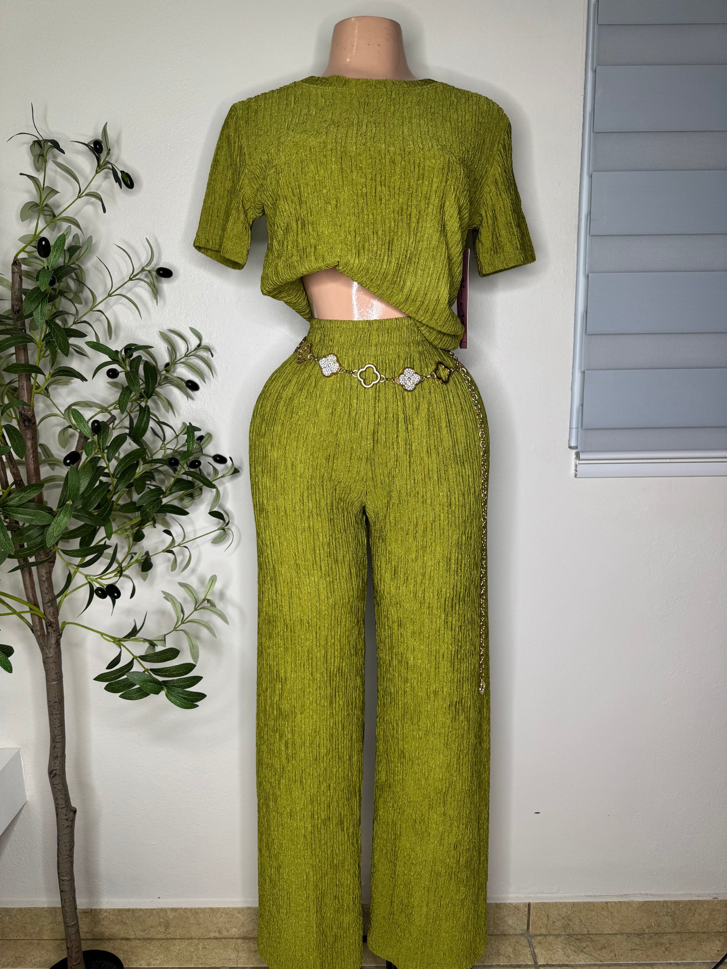 Chic Set In Green