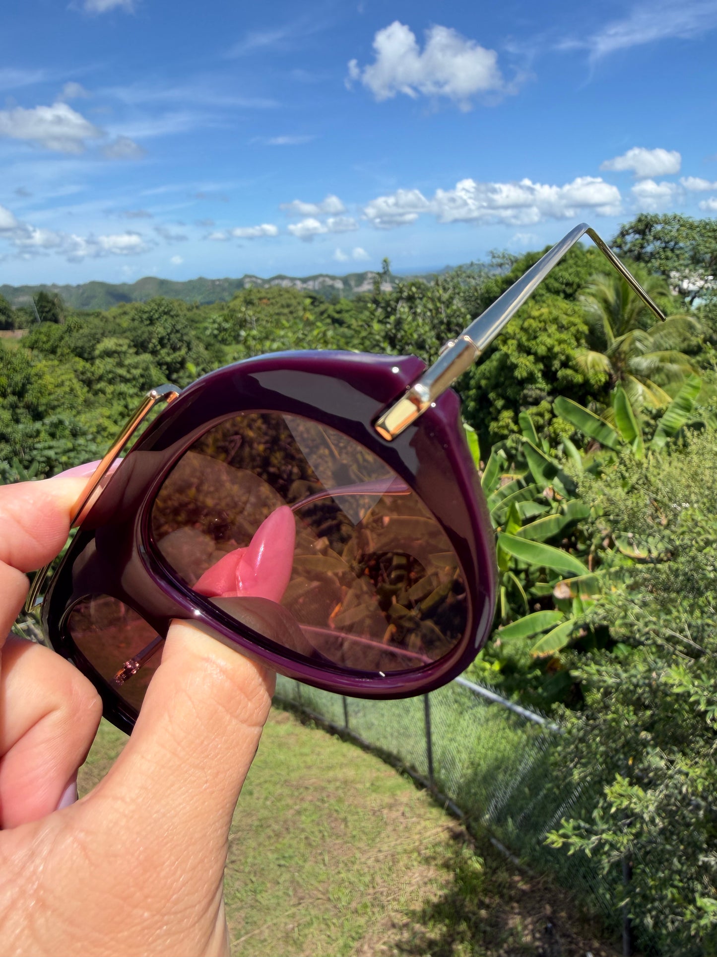 Eggplant Color Sunglasses