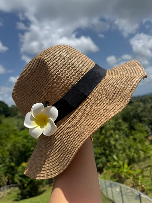 Verano Hat in Black with Hair Pin
